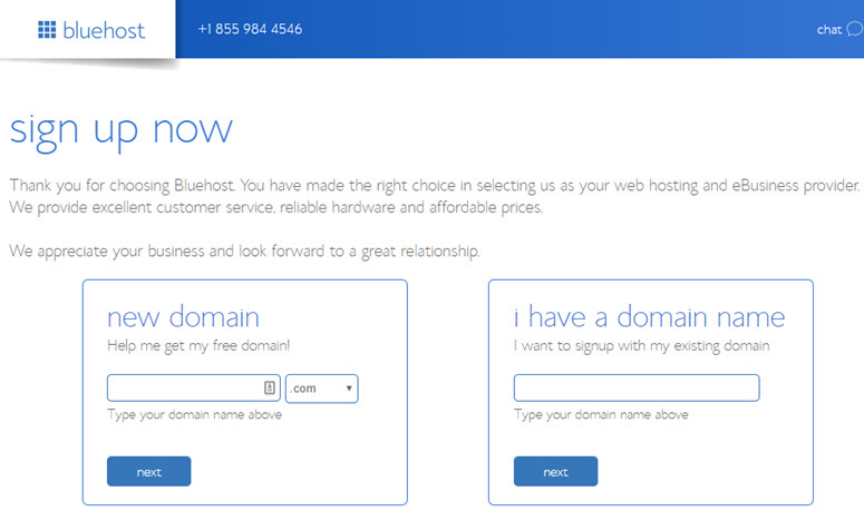 choose new domain name bluehost