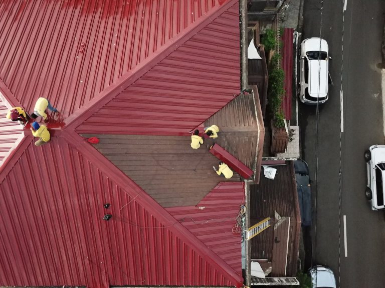 Roof Repair 101: When to Call a Professional and What to Expect