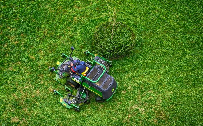 Your Complete Handbook to Launching a Lawn Care Business
