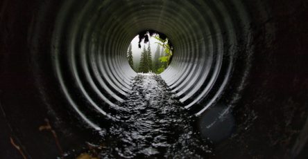 Sewer Line Health: Importance of Regular Inspections