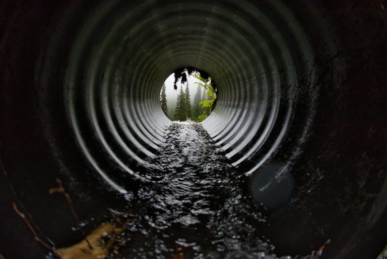 Sewer Line Health: Importance of Regular Inspections