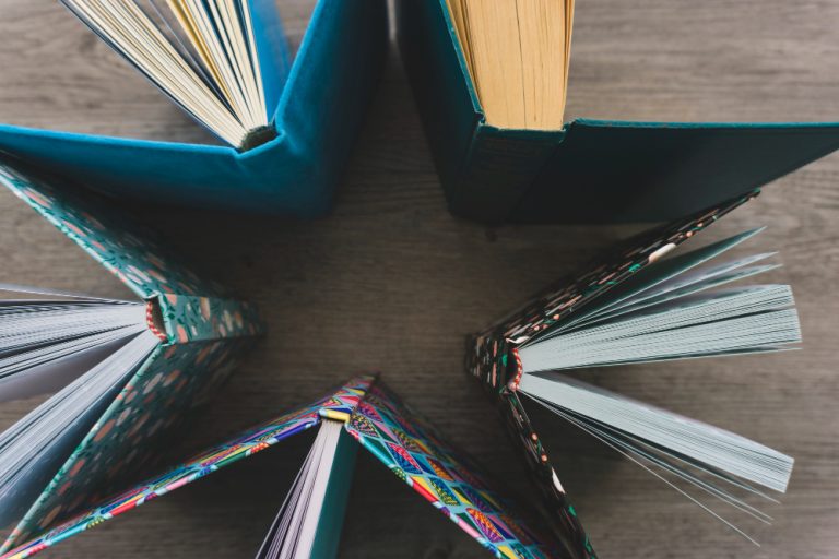 12 The Role of Literature in Developing Critical Thinking